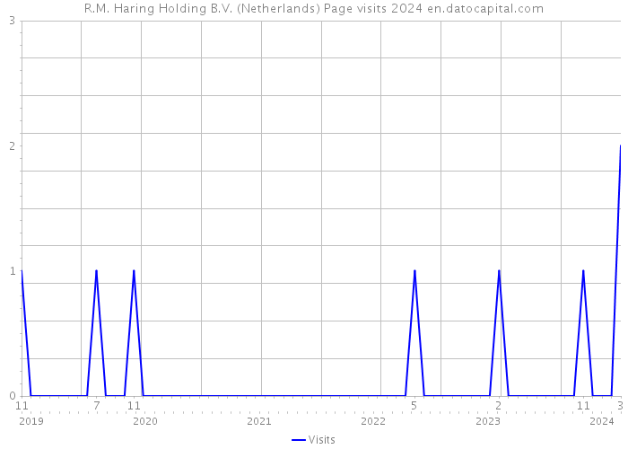 R.M. Haring Holding B.V. (Netherlands) Page visits 2024 