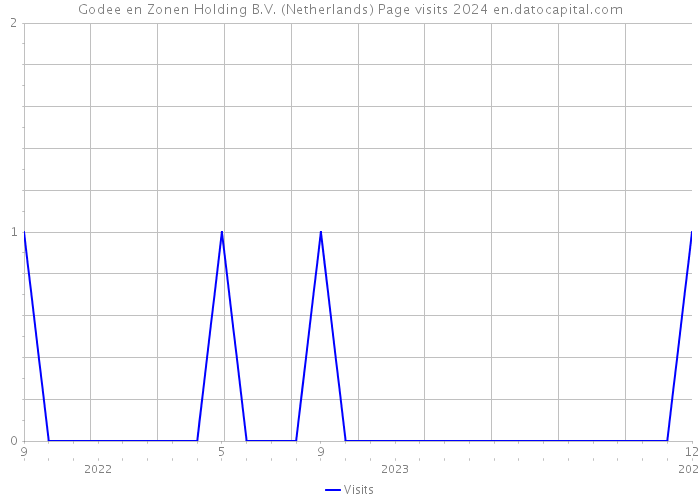 Godee en Zonen Holding B.V. (Netherlands) Page visits 2024 