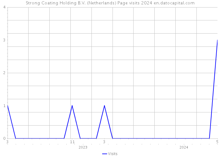 Strong Coating Holding B.V. (Netherlands) Page visits 2024 