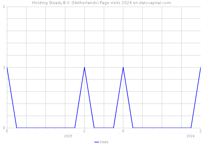 Holding Steady B.V. (Netherlands) Page visits 2024 
