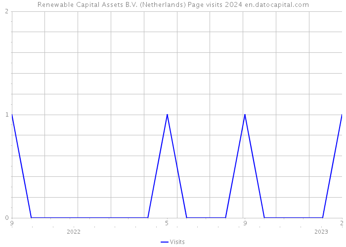 Renewable Capital Assets B.V. (Netherlands) Page visits 2024 