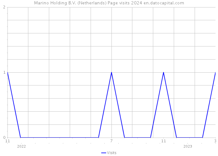 Marino Holding B.V. (Netherlands) Page visits 2024 