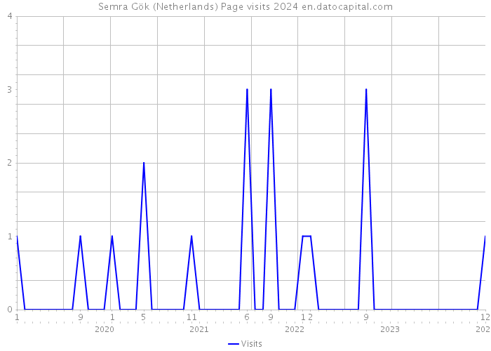 Semra Gök (Netherlands) Page visits 2024 