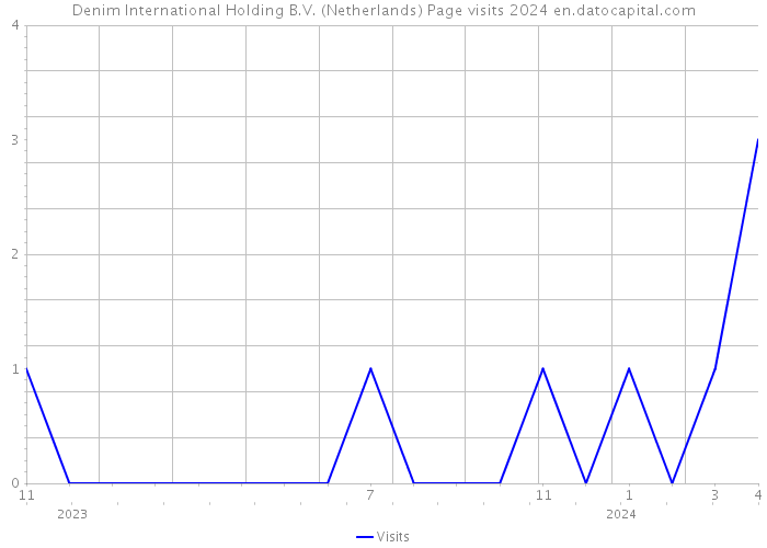 Denim International Holding B.V. (Netherlands) Page visits 2024 
