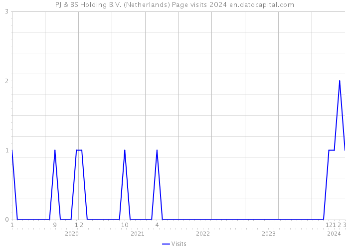 PJ & BS Holding B.V. (Netherlands) Page visits 2024 