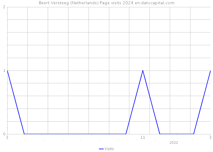 Beert Versteeg (Netherlands) Page visits 2024 