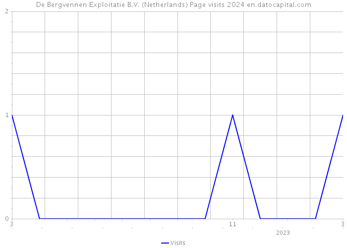De Bergvennen Exploitatie B.V. (Netherlands) Page visits 2024 