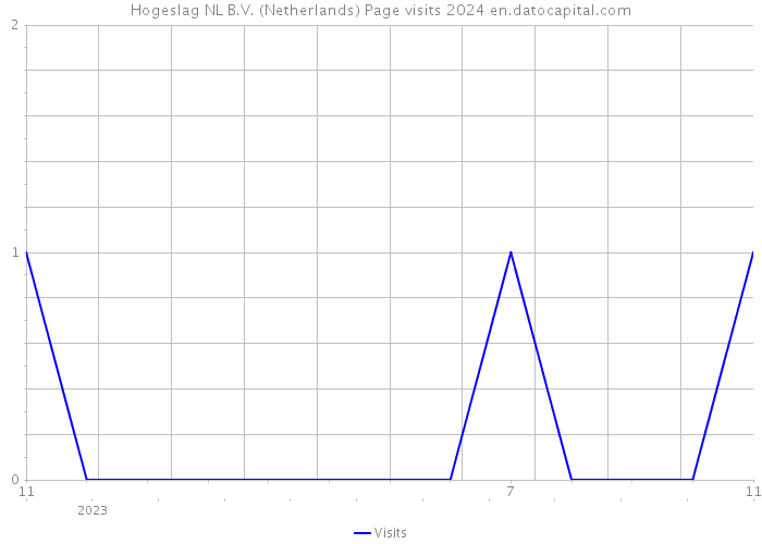 Hogeslag NL B.V. (Netherlands) Page visits 2024 