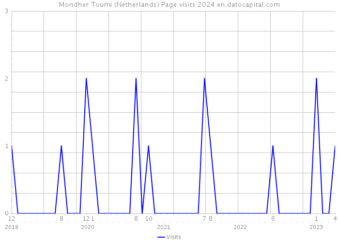Mondher Toumi (Netherlands) Page visits 2024 