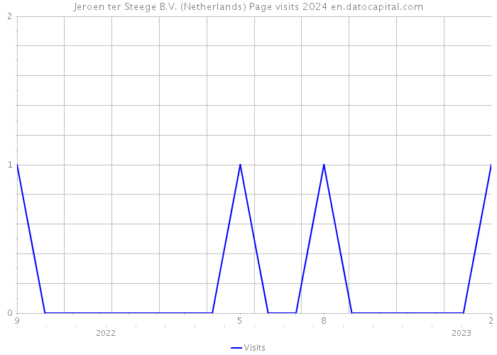 Jeroen ter Steege B.V. (Netherlands) Page visits 2024 