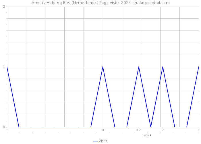 Ameris Holding B.V. (Netherlands) Page visits 2024 
