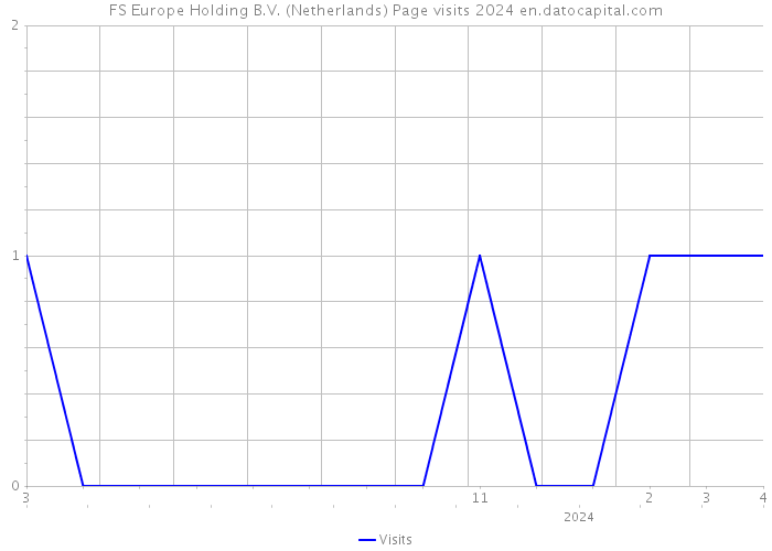FS Europe Holding B.V. (Netherlands) Page visits 2024 