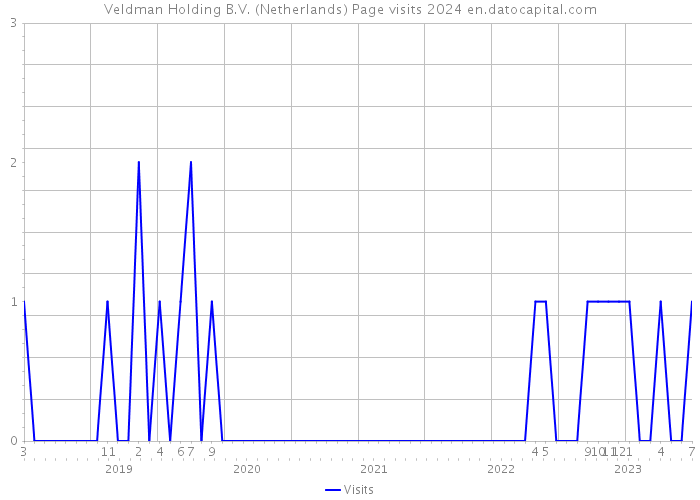 Veldman Holding B.V. (Netherlands) Page visits 2024 