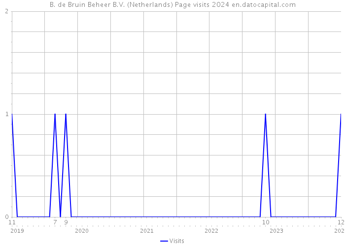 B. de Bruin Beheer B.V. (Netherlands) Page visits 2024 