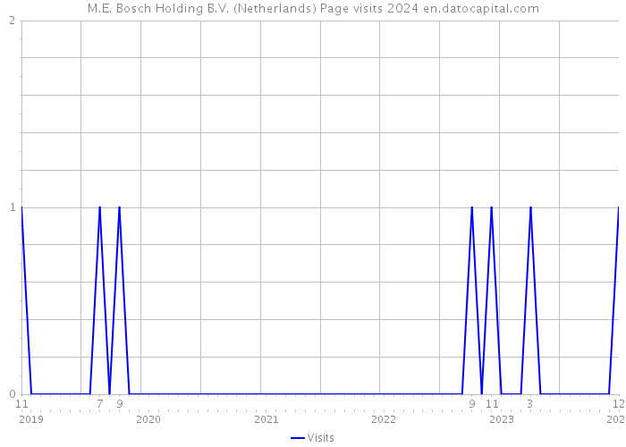 M.E. Bosch Holding B.V. (Netherlands) Page visits 2024 