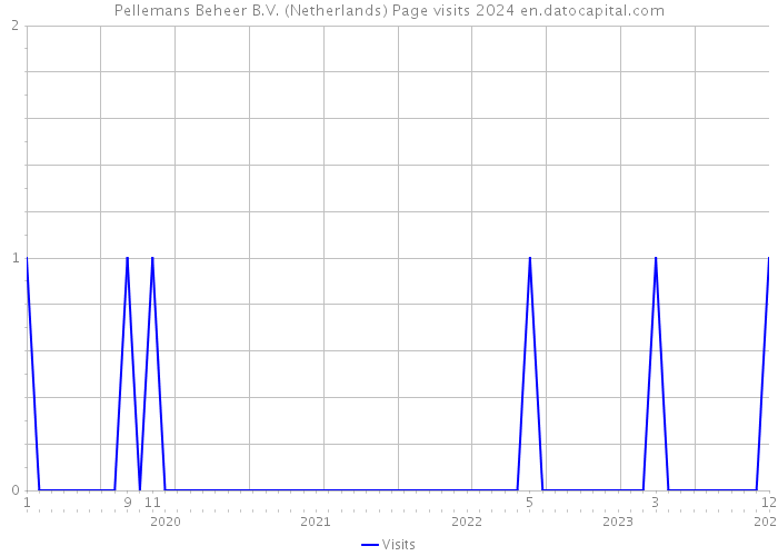 Pellemans Beheer B.V. (Netherlands) Page visits 2024 
