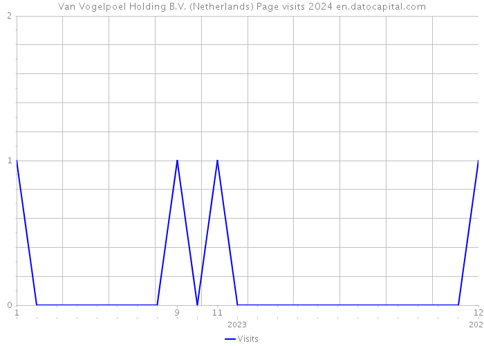 Van Vogelpoel Holding B.V. (Netherlands) Page visits 2024 