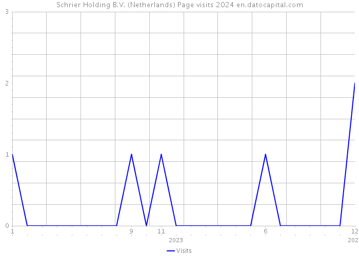 Schrier Holding B.V. (Netherlands) Page visits 2024 