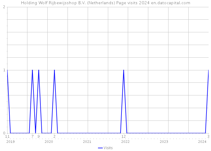 Holding Wolf Rijbewijsshop B.V. (Netherlands) Page visits 2024 