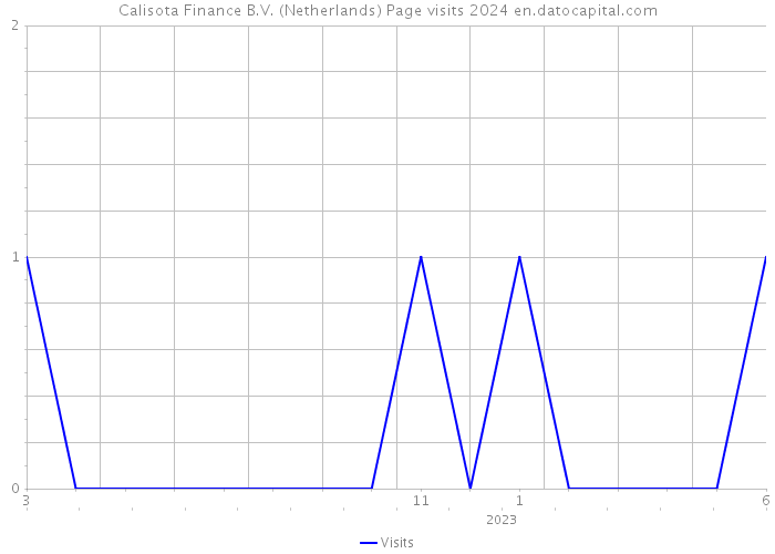 Calisota Finance B.V. (Netherlands) Page visits 2024 
