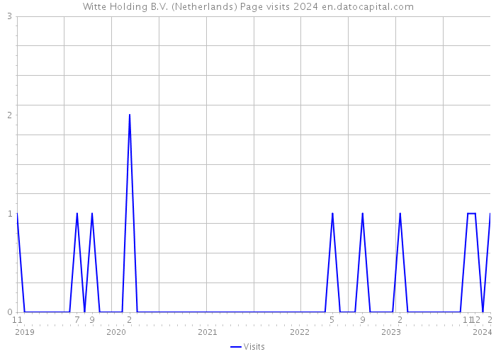 Witte Holding B.V. (Netherlands) Page visits 2024 