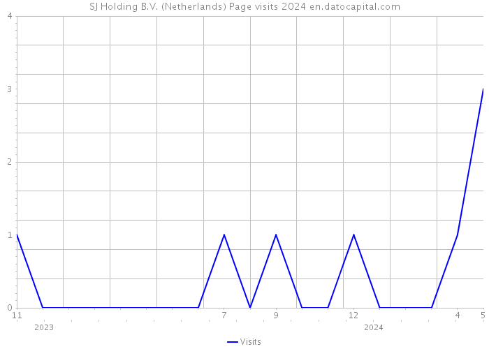 SJ Holding B.V. (Netherlands) Page visits 2024 