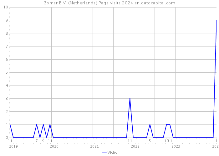 Zomer B.V. (Netherlands) Page visits 2024 
