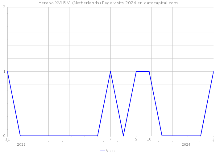 Herebo XVI B.V. (Netherlands) Page visits 2024 