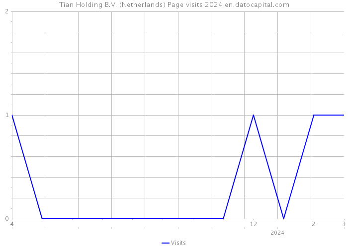 Tian Holding B.V. (Netherlands) Page visits 2024 