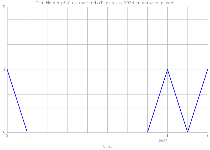 Talu Holding B.V. (Netherlands) Page visits 2024 