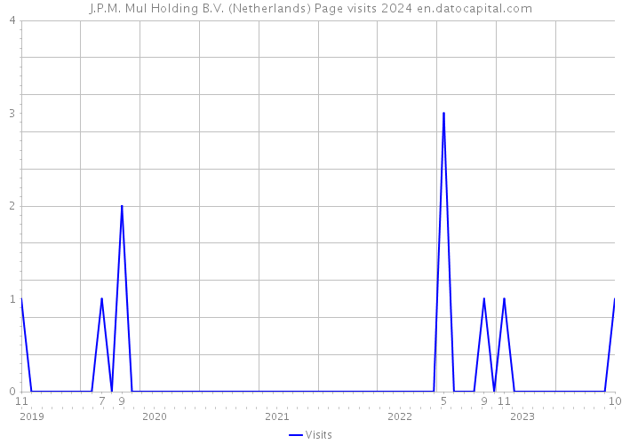 J.P.M. Mul Holding B.V. (Netherlands) Page visits 2024 