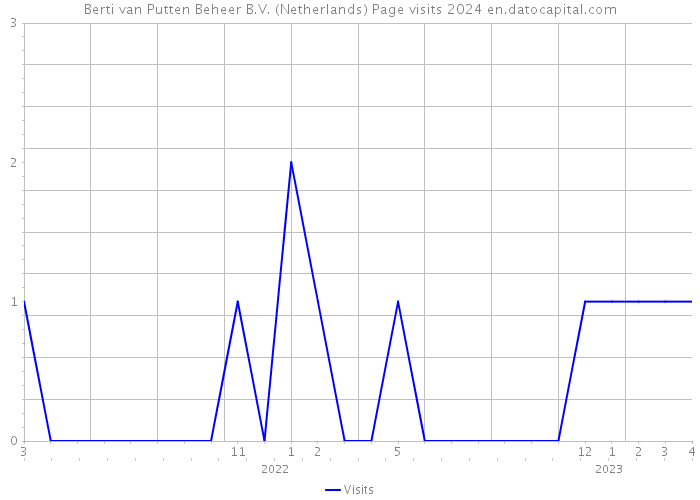 Berti van Putten Beheer B.V. (Netherlands) Page visits 2024 