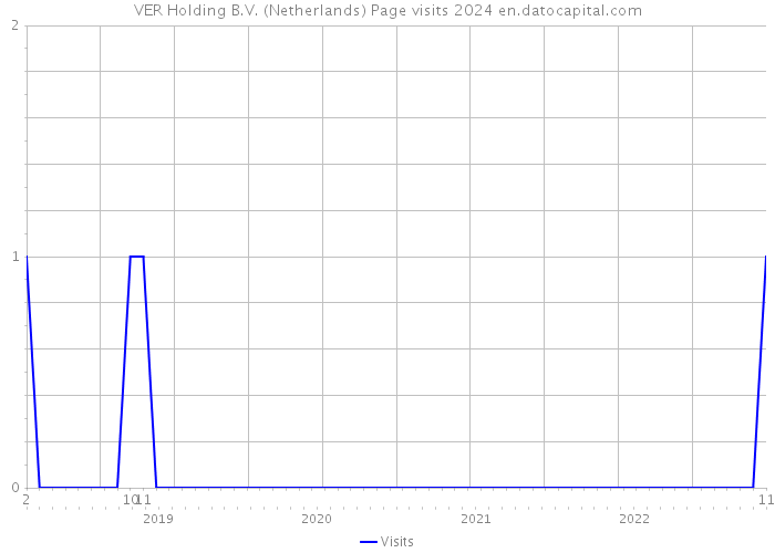 VER Holding B.V. (Netherlands) Page visits 2024 