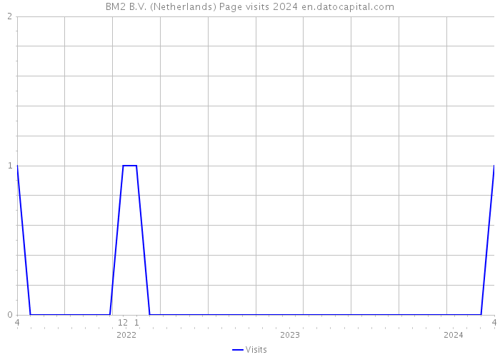 BM2 B.V. (Netherlands) Page visits 2024 