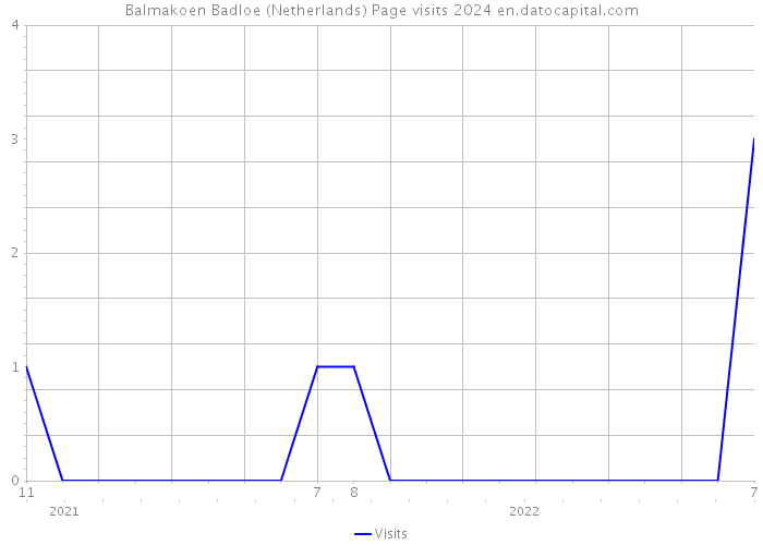 Balmakoen Badloe (Netherlands) Page visits 2024 