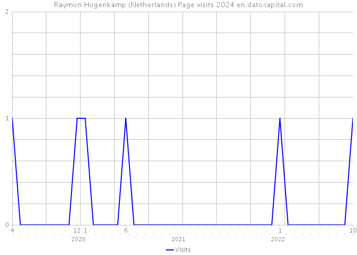 Raymon Hogenkamp (Netherlands) Page visits 2024 