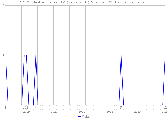 R.P. Woudenberg Beheer B.V. (Netherlands) Page visits 2024 