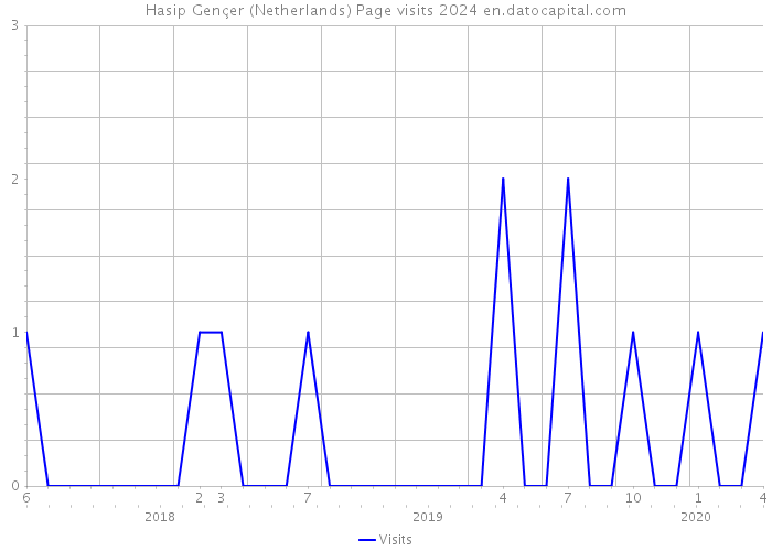 Hasip Gençer (Netherlands) Page visits 2024 