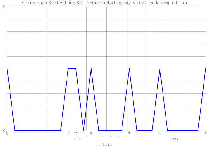 Steenbergen Steel Holding B.V. (Netherlands) Page visits 2024 