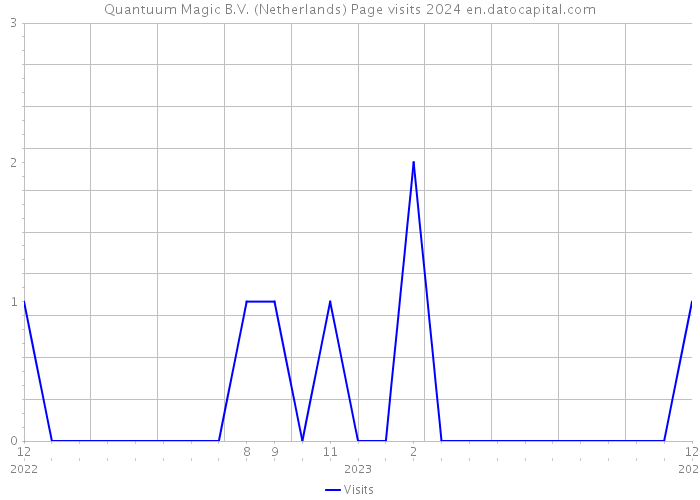 Quantuum Magic B.V. (Netherlands) Page visits 2024 
