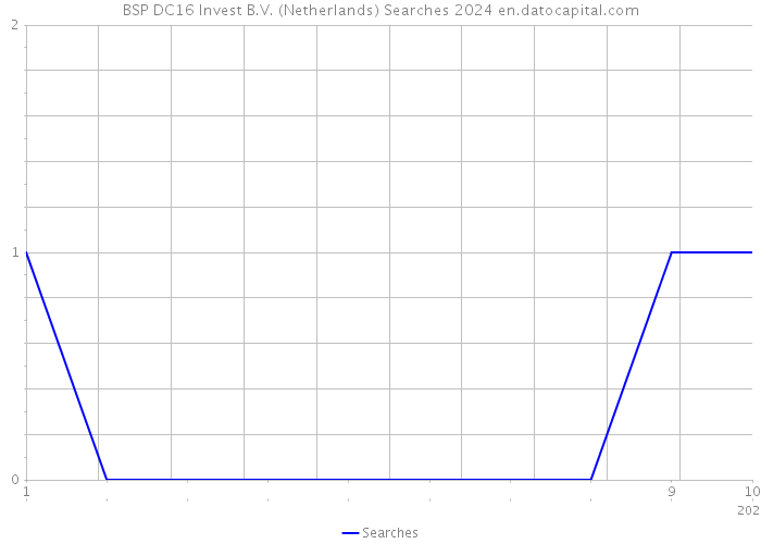BSP DC16 Invest B.V. (Netherlands) Searches 2024 