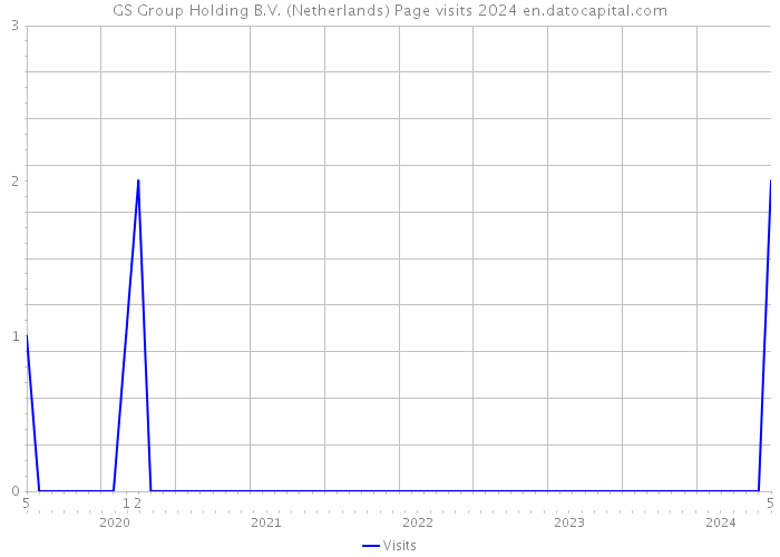 GS Group Holding B.V. (Netherlands) Page visits 2024 