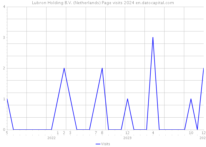 Lubron Holding B.V. (Netherlands) Page visits 2024 