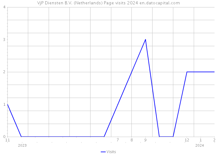 VjP Diensten B.V. (Netherlands) Page visits 2024 