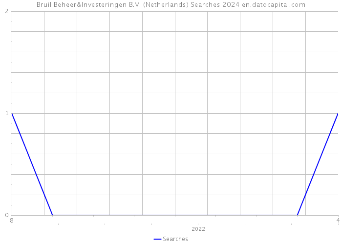Bruil Beheer&Investeringen B.V. (Netherlands) Searches 2024 