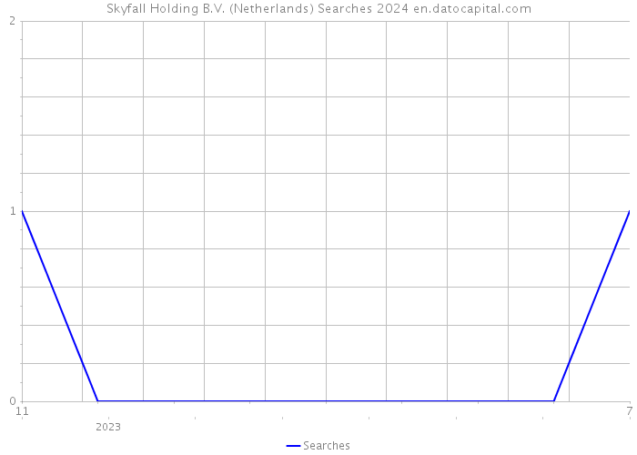 Skyfall Holding B.V. (Netherlands) Searches 2024 