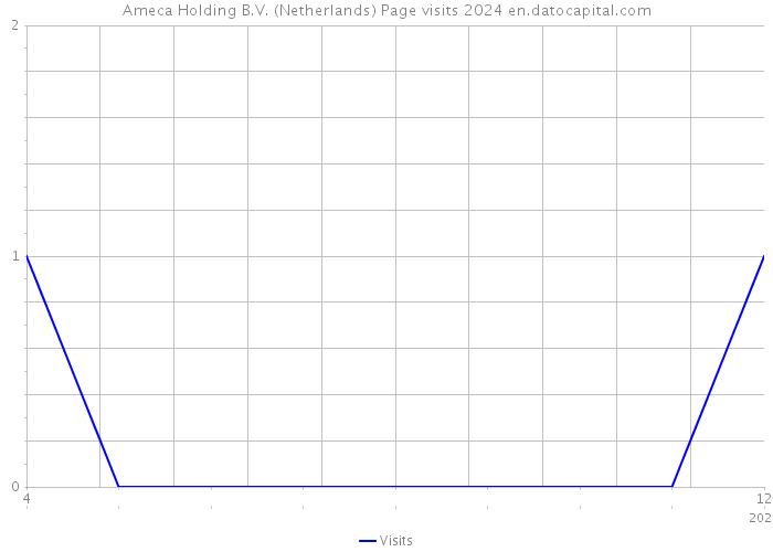 Ameca Holding B.V. (Netherlands) Page visits 2024 