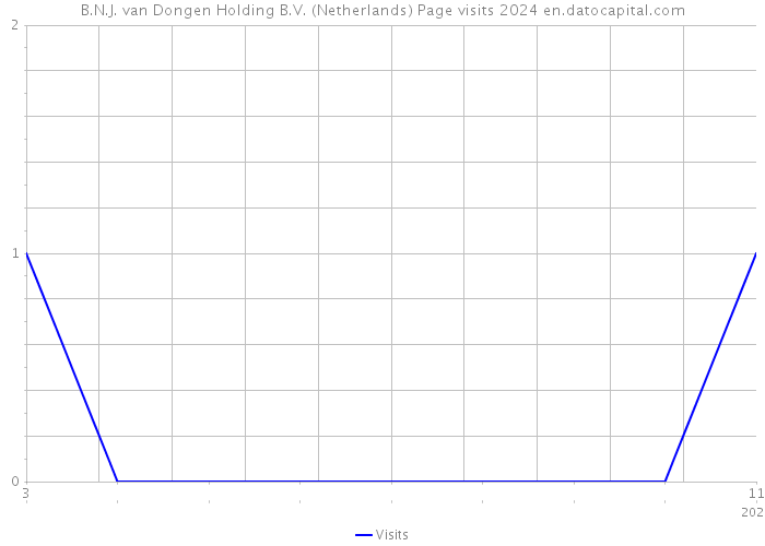 B.N.J. van Dongen Holding B.V. (Netherlands) Page visits 2024 