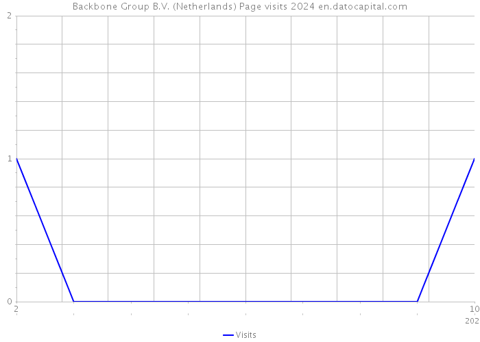 Backbone Group B.V. (Netherlands) Page visits 2024 