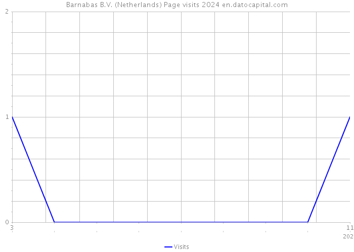 Barnabas B.V. (Netherlands) Page visits 2024 